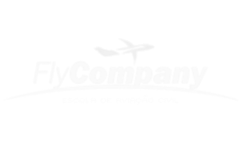 Logo Fly Company - cliente MFSim